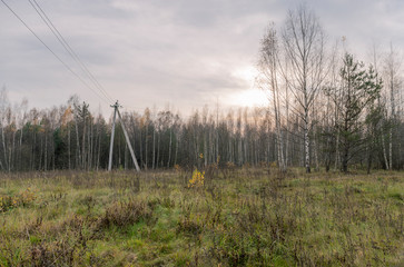 Autumn countryside landscape. A low, cold sunset over a forest, field with withering grass, bare trees, wires, and the support of an electric line. HDR image