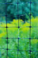 Blurred abstract  background texture. Cropped shot of mesh fence.   Gardening concept.