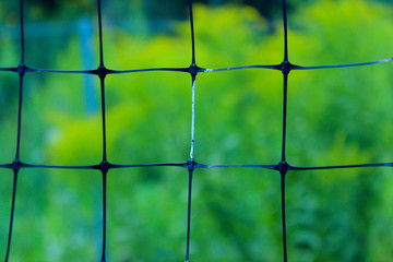 Blurred abstract  background texture. Cropped shot of mesh fence.   Gardening concept.