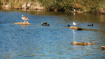 Beautiful view at Vilstal water reservoir, Bavaria, Germany