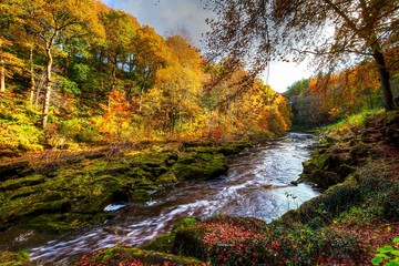 River Wharfe in Yorkshire Dales in autumn.North Yorkshire, Great Britain.re