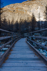 Fototapeta premium wooden bridge in the forest