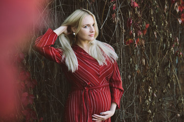 young beautiful pregnant woman in a red dress