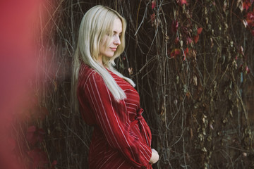 young beautiful pregnant woman in a red dress
