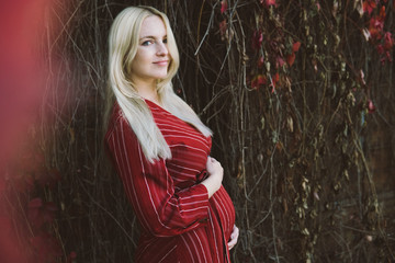 young beautiful pregnant woman in a red dress