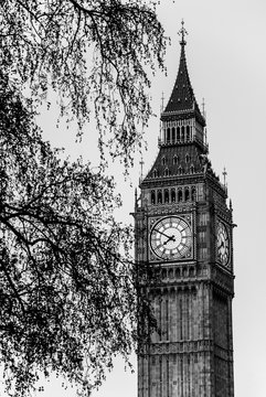 Big ben tower detail with tree branches beside, London, England, UK