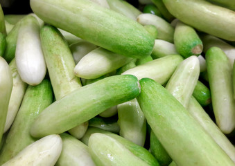 Harvested Fresh Small Cucumber in the Market.