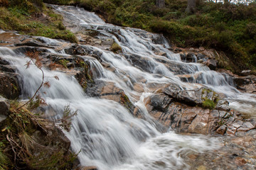 Fototapeta premium waterfall in the cairngorms national park, Scotland, during the autumn with orange and yellow leaf birch and pine trees and forest background.