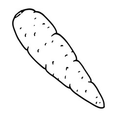 Carrot icon. Vector of carrots. Hand drawn carrot.