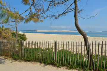 Fototapeta premium Dune and a barrier protecting the dunes at Cap-Ferret with the Dune of Pilat in the background. Commune in the Gironde department in southwestern France