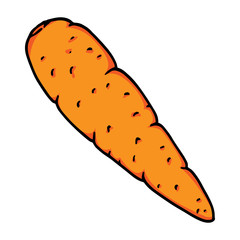 Carrot icon. Vector of carrots. Hand drawn carrot.