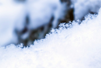 Background of fresh snow. Natural winter background. Snow texture in blue tone
