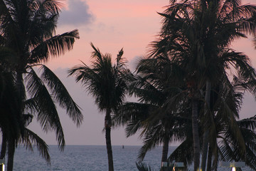 Fototapeta na wymiar Sunrise in Key West