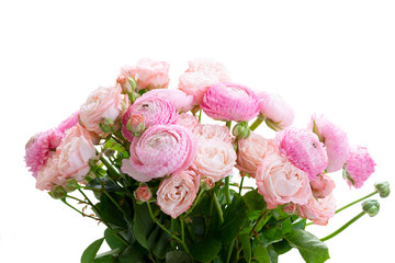 fresh rose flowers