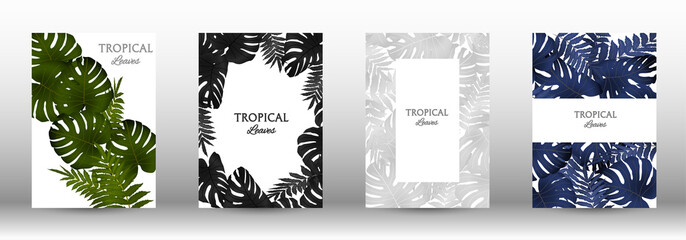 Fototapeta na wymiar A set of tropic
