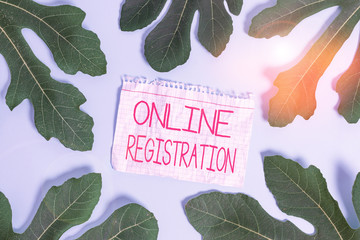 Writing note showing Online Registration. Business concept for System for subscribing or...