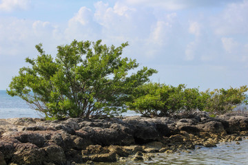 Key West Beach