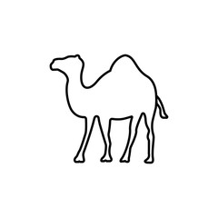 Line vector figure of camel. Vector outline African animal for web and design. linear pictogram isolated on white. logo illustration
