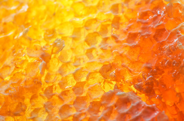 background of honeycomb texture filled with sweet sticky Golden honey glow in the sun