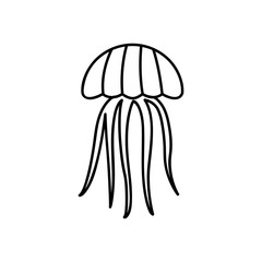 Jellyfish elegant illustration. Jelly fish black color silhouette. Isolated on white.