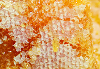 background with honeycomb texture covered with wax and dripping drops of sweet sticky Golden honey glow in the sun