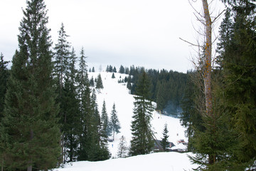 Beautiful winter landscape and ski tracks of bukovel in Ukraine.