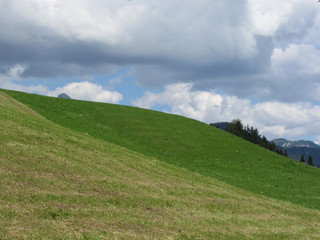 Fototapeta na wymiar Grassy field at the rolling hill against a cloudy sky