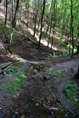 Ein kleiner Bach bei Rathen