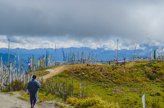  Bhutanese local person wandering through the trail of Chele la pass surrounded by the prayer flags