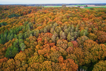 Scenic aerial view of autumn forest in northern France
