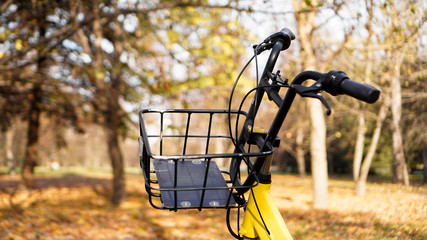 Fototapeta na wymiar Yellow bike with fallen leaves in the setting sun. Autumn park - sunny day