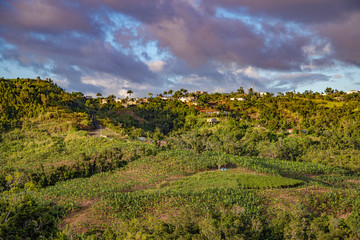 Orocovis, Puerto Rico countryside. Campos de Orocovis en Puerto Rico.