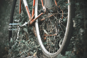 A black-and-white image of a red old rusty Bicycle overgrown with unruly thick grass.