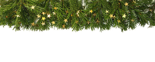 Branches de sapin de Noël Nordmann
