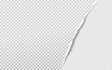 Torn, ripped piece of grey and white squared paper with soft shadow. Background for text. Vector illustration