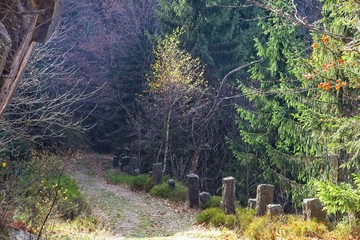 Autumn landscape with old mountain path
