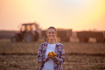 Farmer woman with corn cobs during harvest in field