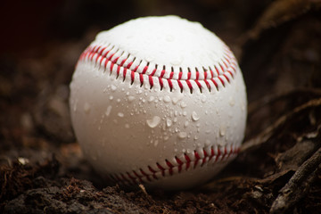Baseball ball with red seams and water droplets. Sport, hobbies and Home Run concept. Extreme closeup