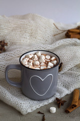 Grey cup of hot cacao or chocolate with marshmellow and cinnamon with anice star  on white background. winter and automn hot drinks. winter decoration.