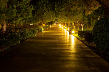 pedestrian alley in the park in the evening in lighting