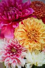 Bouquet of asters and dahlias flowers