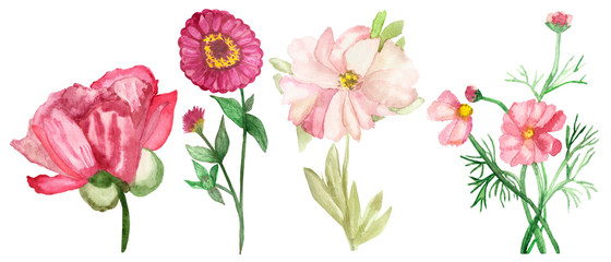 Watercolor hand painted nature romantic floral set composition with different four pion, zinnia and loach flowers with pink petals, green branch and leaves isolated on the white background collection