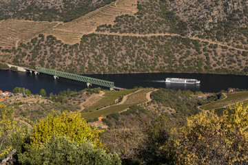 UNESCO World Heritage, a Cruise in Douro River, Vineyards Valley in Sao Joao da Pesqueira, Viseu, Portugal.