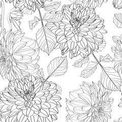 Dahlia. Seamless pattern of line dahlia flowers and leaves. Floral  background.