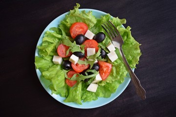 Light salad with tomato greens and cheese on a blue plate.Vegetarian food.