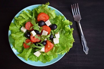 Light salad with tomato greens and cheese on a blue plate.Vegetarian food.