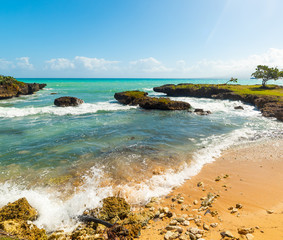Bas du Fort shore in Guadeloupe
