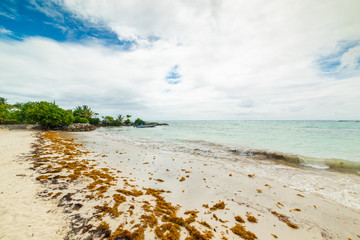 Cloudy sky over Raisins Clairs beach in Guadeloupe