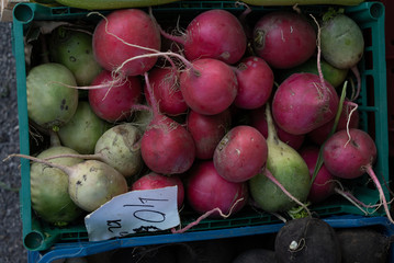 Radish in a box for sale