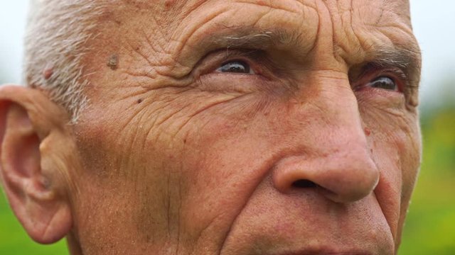 senior handsome gentle man brown eyes squint look up and blink extreme close view against blurry nature slow motion